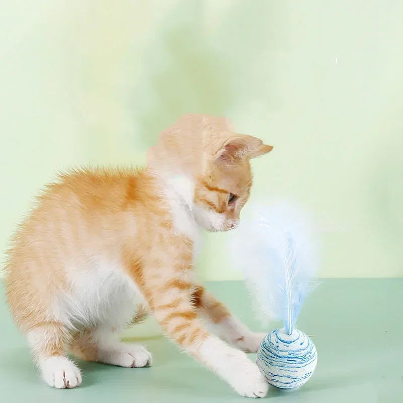 Cat toy Ball Feather Funny Cat Toy Star Ball Plus Feather Foam Ball