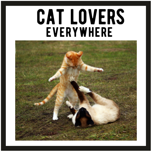 Cat Lovers Everywhere