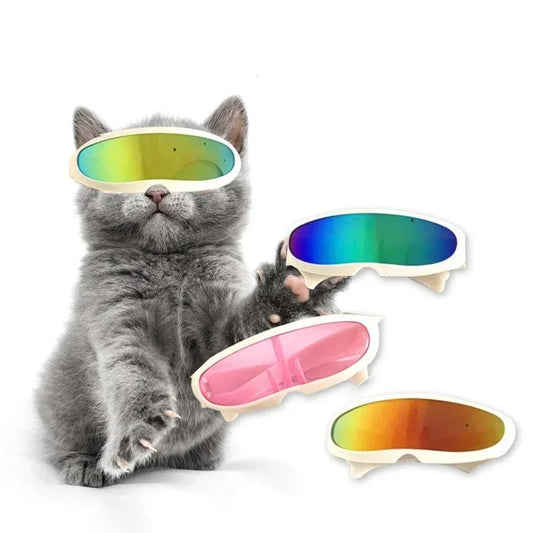 Cool Cat  Goggles Sunglasses Funny