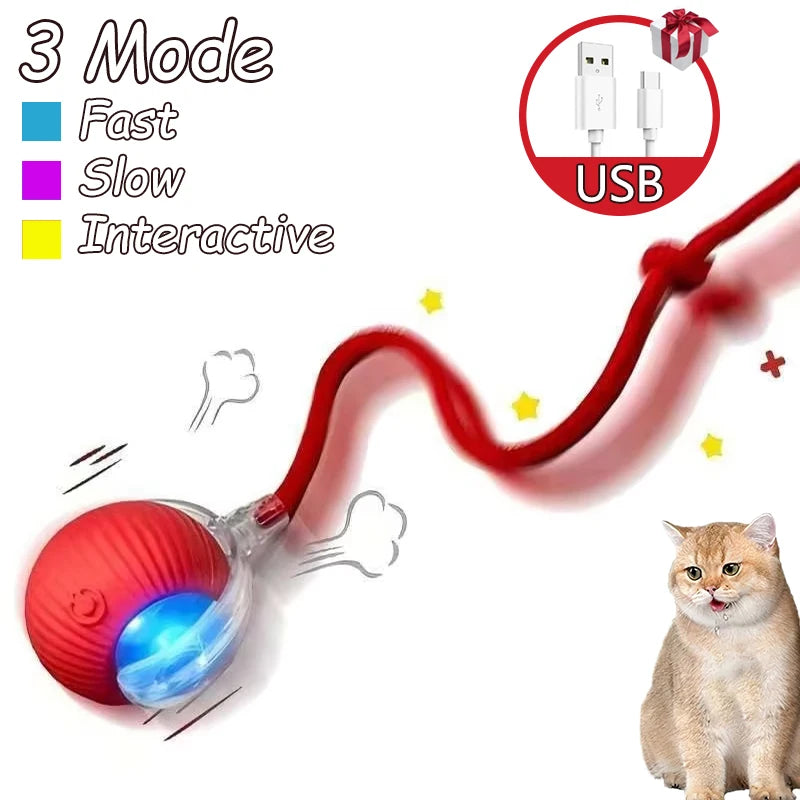 2Pcs Cat Interactive Ball Toys