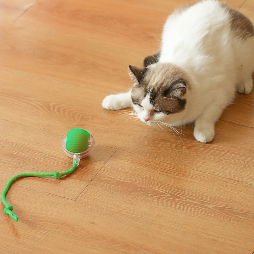 1/2PCS Cat Interactive Ball Toy