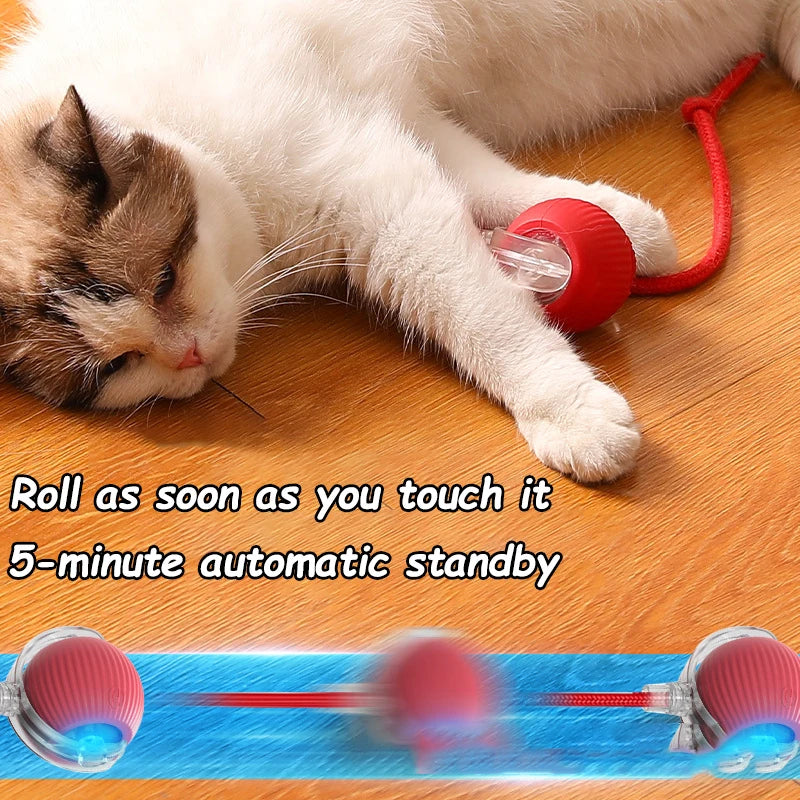 2Pcs Cat Interactive Ball Toys