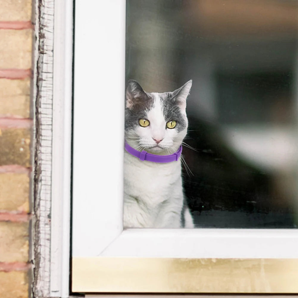 38cm Calming Collar Necklace Adjustable