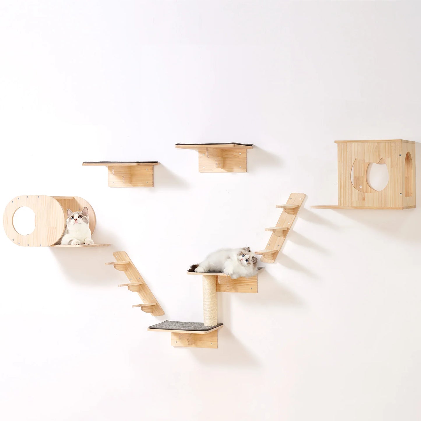 SucceBuy Wall Mounted Cat Shelves