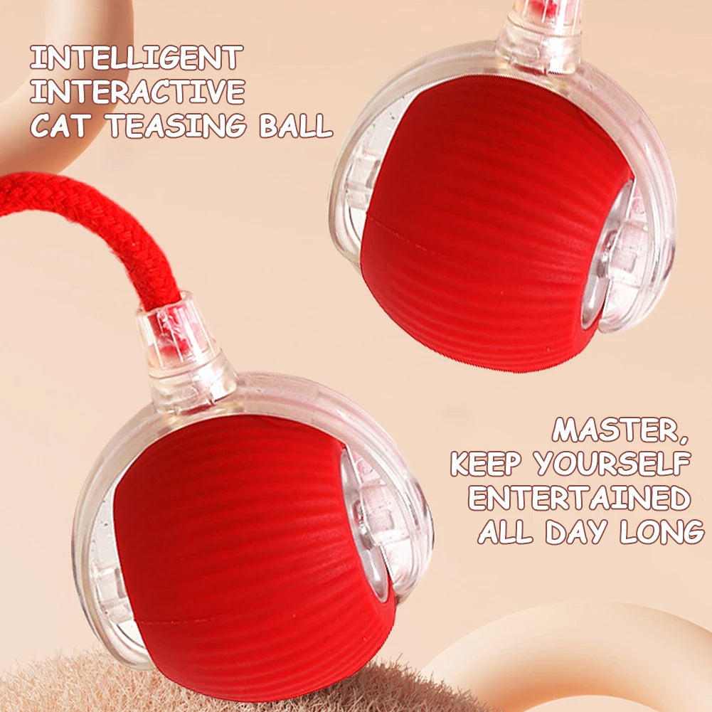 1/2PCS Cat Interactive Ball Toy