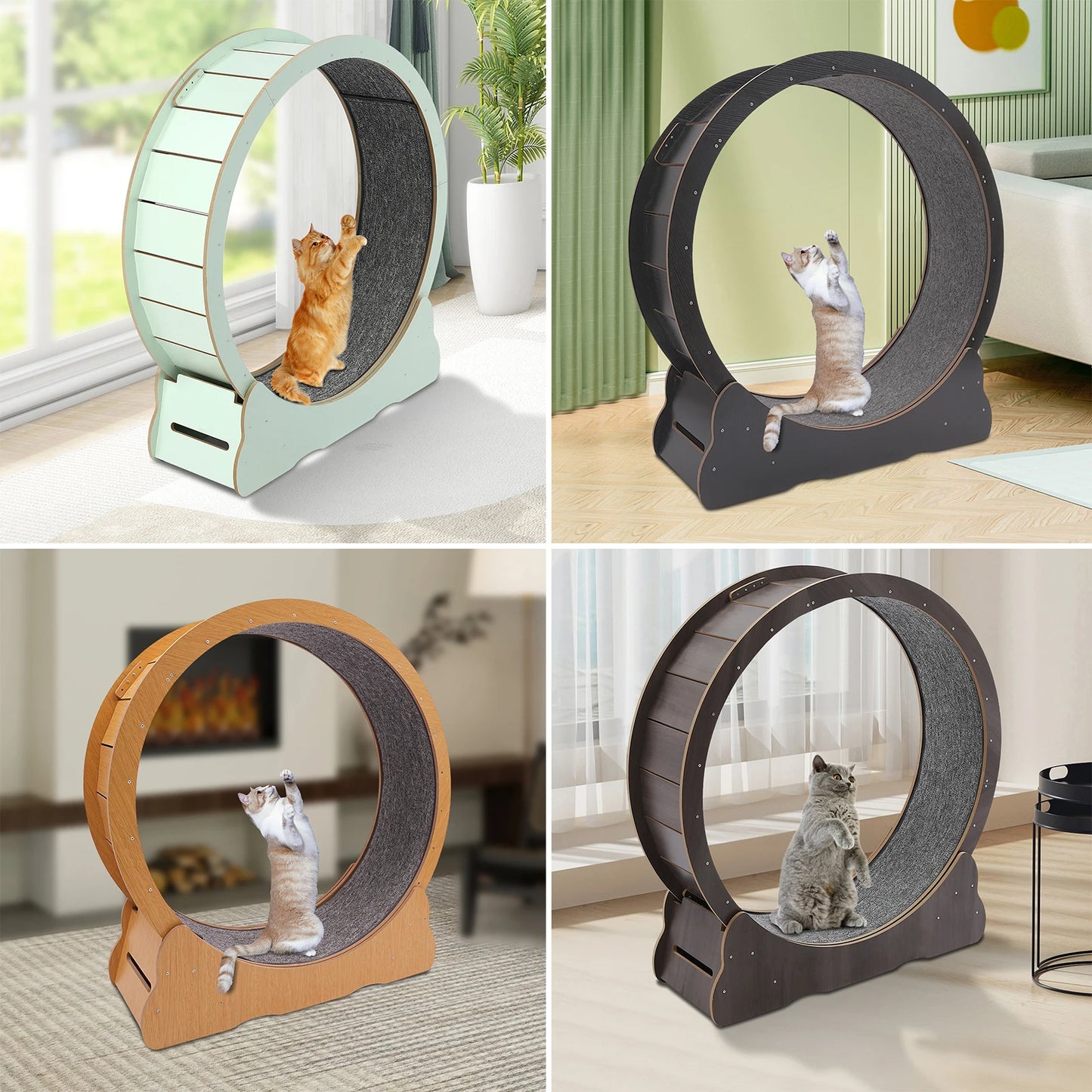 Cat Exercise Wheel Treadmil