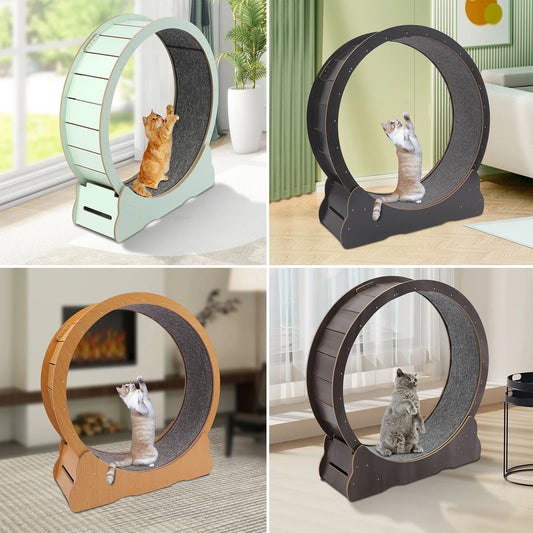 Cat Exercise Wheel Treadmil