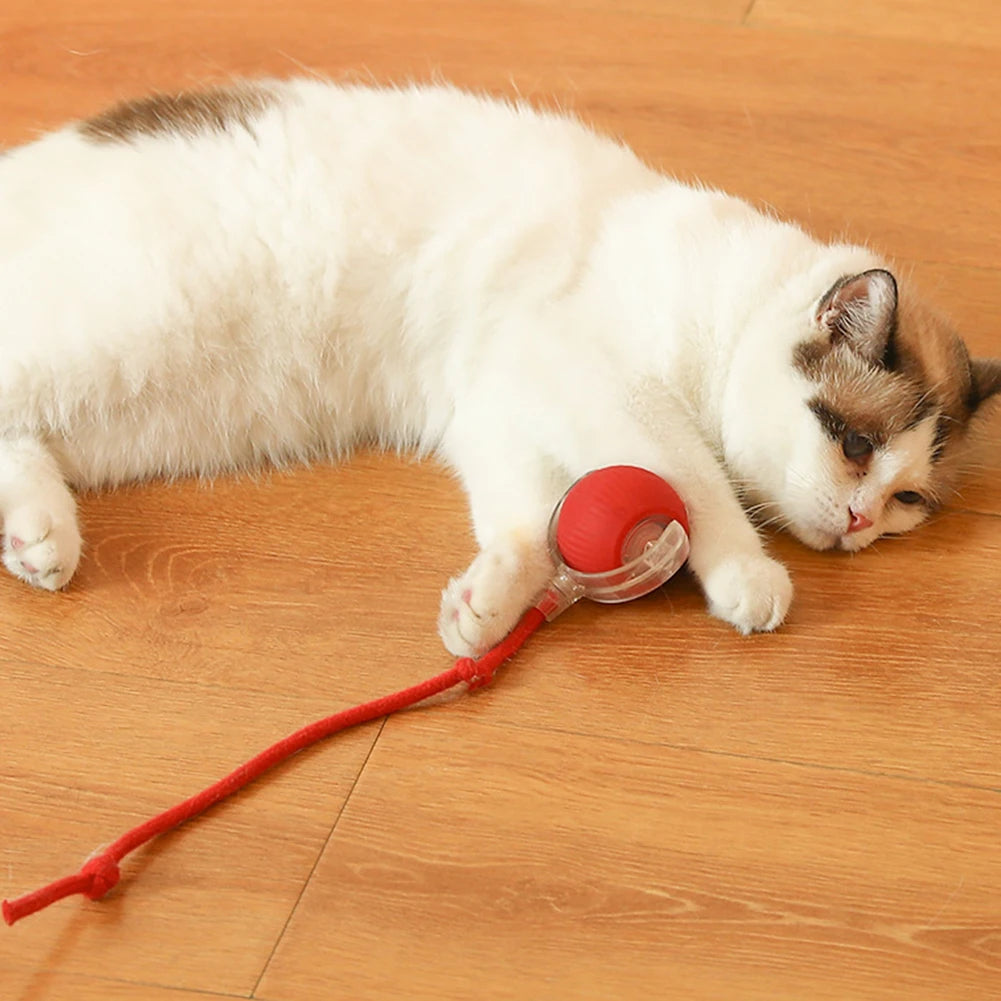 1/2PCS Cat Interactive Ball Toy