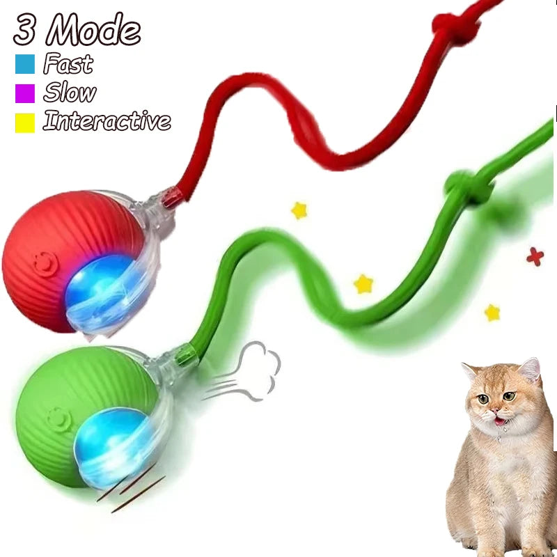 2Pcs Cat Interactive Ball Toys