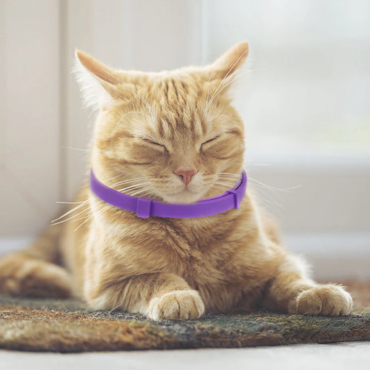 38cm Calming Collar Necklace Adjustable