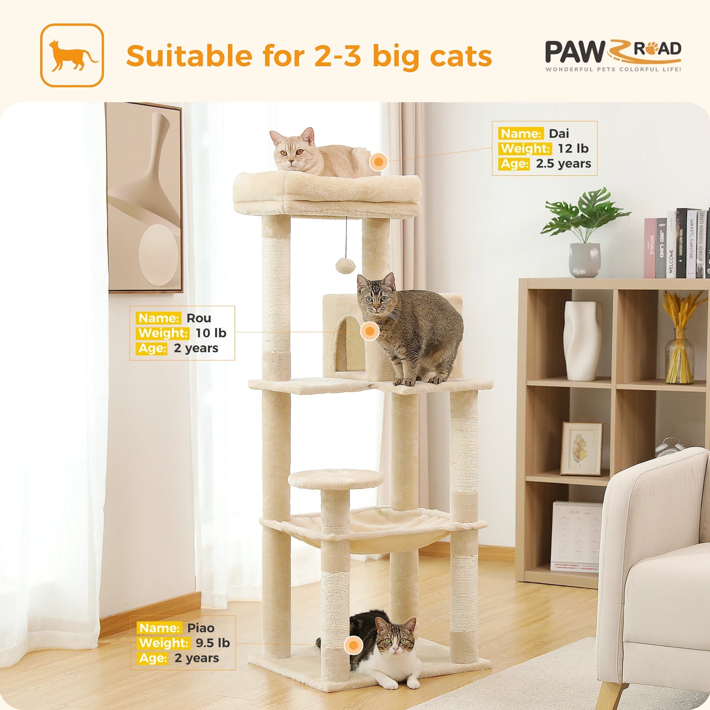 Cat Tree for Indoor Cats 5-Level