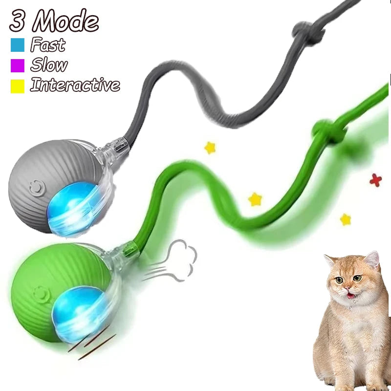 2Pcs Cat Interactive Ball Toys