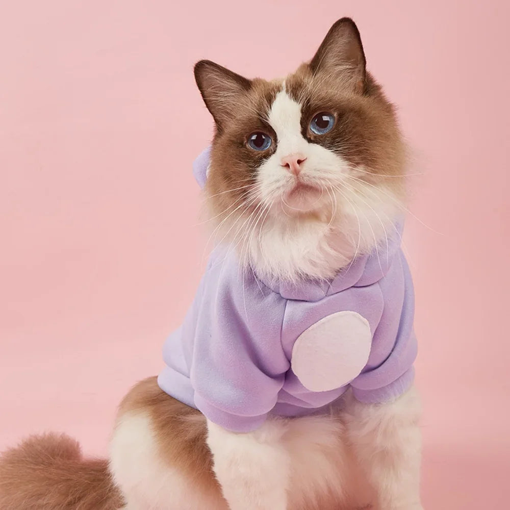 Cute Hairless Cat Clothes Winter Pet