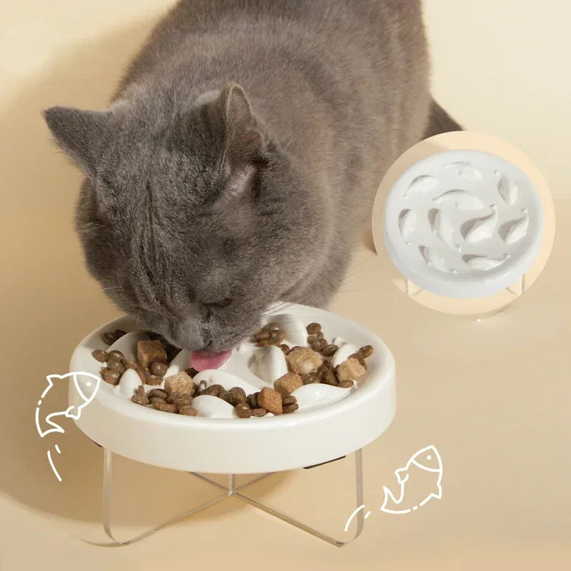 Pet Cat Bowl Raised Anti-choke Food Plate Pet Slow Food Bowl