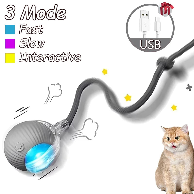 2Pcs Cat Interactive Ball Toys
