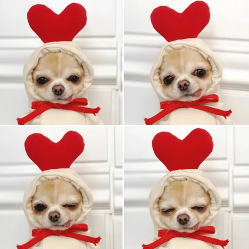 Winter Pet Hoodie Sweater