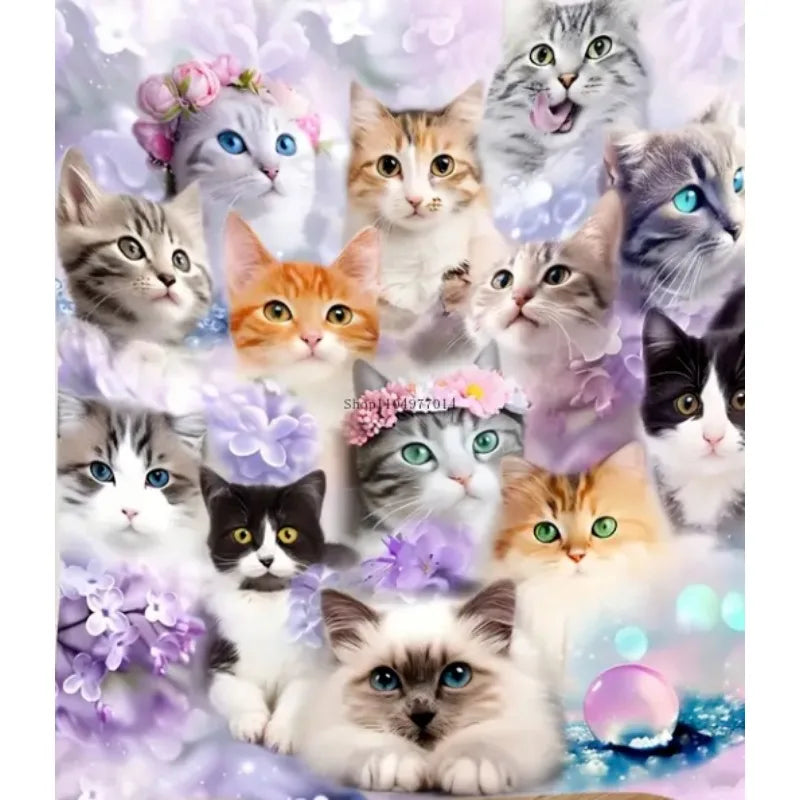 Cute cat blanket