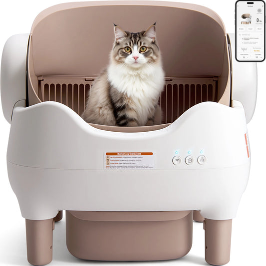 Self Cleaning Litter Box